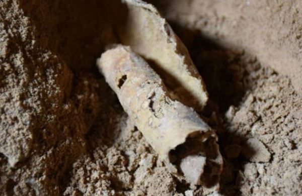 <br />
Коллекция свитков Мертвого моря оказалась подделкой<br />
